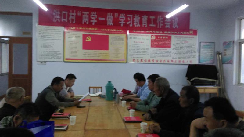 洪口村”两学一做“学习工作会议.jpg
